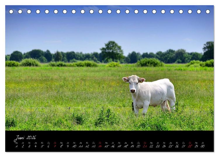 Produktbild: Vier- und Marschlande Hamburgs gr&uuml;ner S&uuml;dosten (Tischkalender 2026 DIN A5 quer), CALVENDO Monatskalender