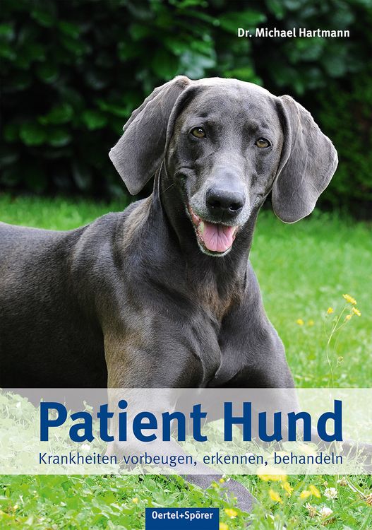 Produktbild: Patient Hund