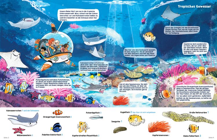Produktbild: Wimmelwissen Aquazoo