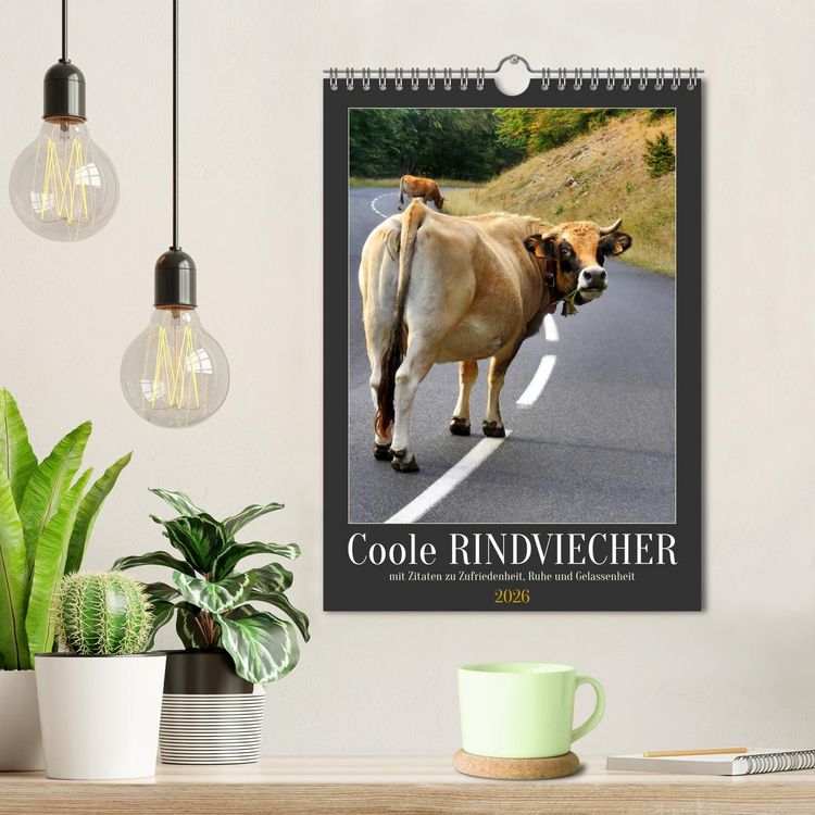 Produktbild: Coole Rindviecher (Wandkalender 2026 DIN A4 hoch), CALVENDO Monatskalender