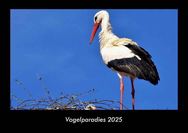 Produktbild: Vogelparadies 2025 Fotokalender DIN A3