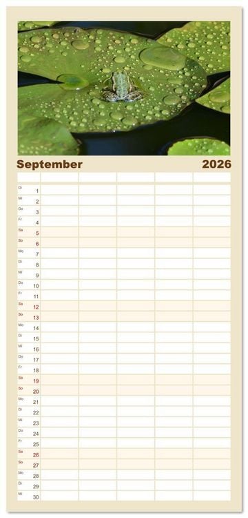 Produktbild: Familienplaner 2026 - Frosch Karl, Hans und Max im Einklang der Natur mit 5 Spalten (Wandkalender, 21 x 45 cm) CALVENDO