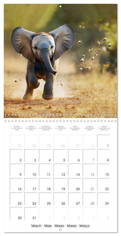 Produktbild: Baby Elephant Adventures (Wall Calendar 2026 12 &times; 12 Inch) CALVENDO 12 Month Wall Calendar