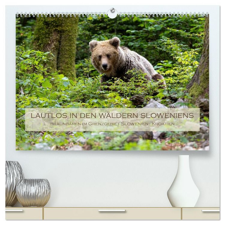 Produktbild: Lautlos in den W&auml;ldern Sloweniens (hochwertiger Premium Wandkalender 2026 DIN A2 quer), Kunstdruck in Hochglanz