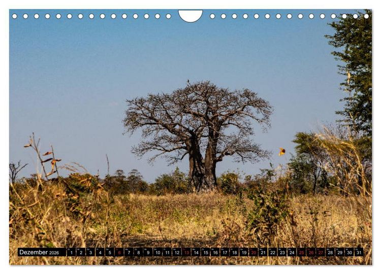 Produktbild: Sambia "Das wirkliche Afrika" (Wandkalender 2026 DIN A4 quer), CALVENDO Monatskalender