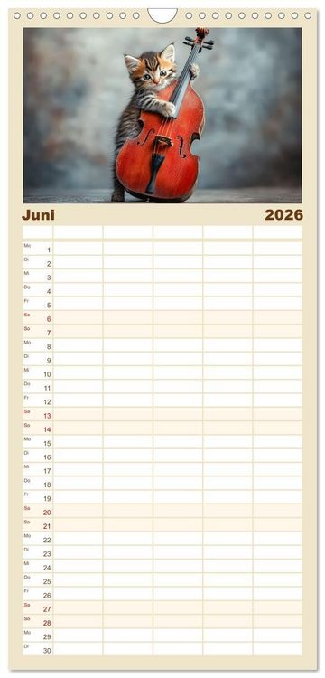 Produktbild: Familienplaner 2026 - Miau-sikalische Momente mit 5 Spalten (Wandkalender, 21 x 45 cm) CALVENDO