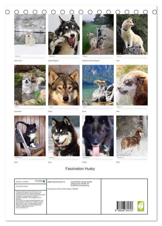 Produktbild: Faszination Husky (Tischkalender 2026 DIN A5 hoch), CALVENDO Monatskalender