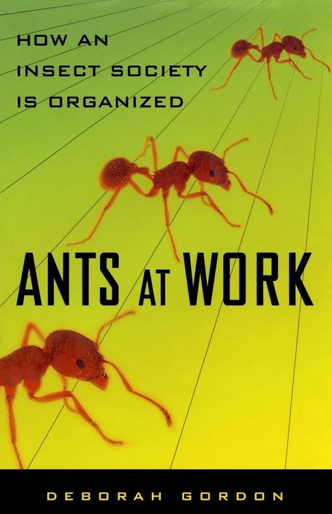 Produktbild: Ants at Work
