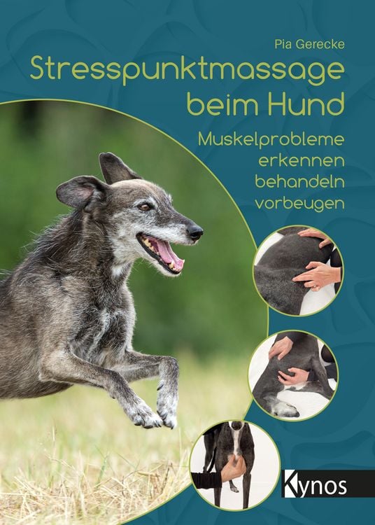 Produktbild: Stresspunktmassage beim Hund