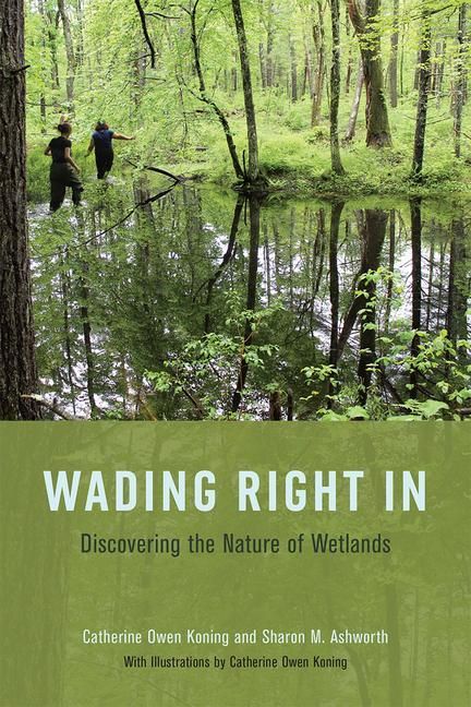 Produktbild: Koning, C: Wading Right in