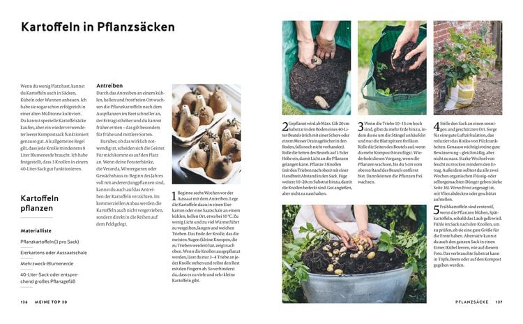 Produktbild: Gem&uuml;se einfach anbauen
