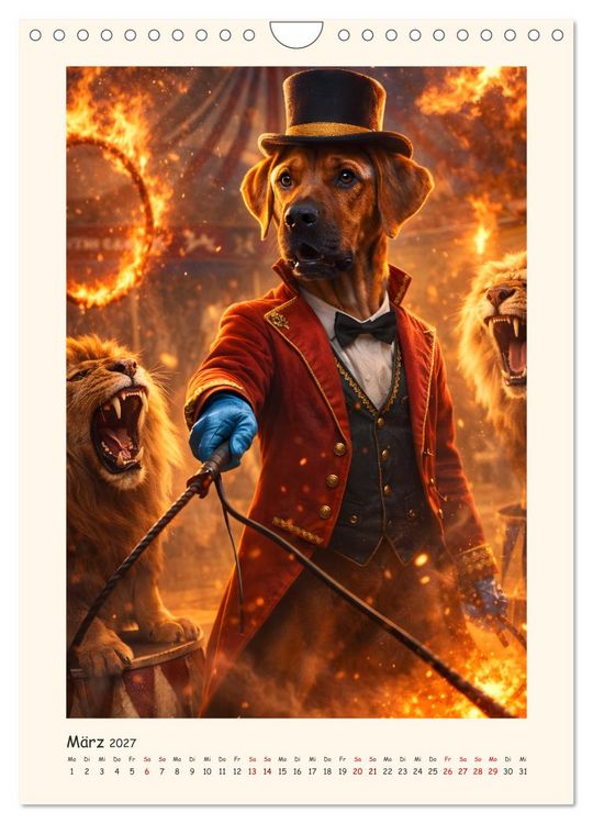 Produktbild: Rhodesian Ridgeback - Ein Hund mit vielen Talenten (Wandkalender 2027 DIN A4 hoch), CALVENDO Monatskalender