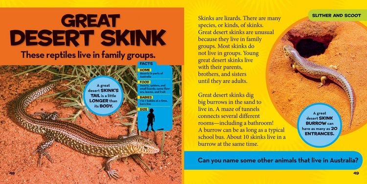 Produktbild: National Geographic Little Kids First Big Book of Reptiles and Amphibians