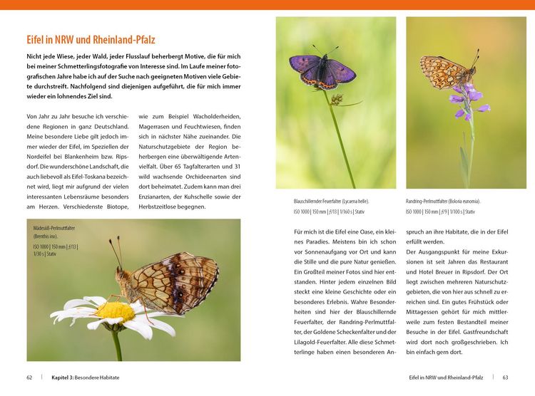 Produktbild: Schmetterlinge - so gelingen faszinierende Fotos