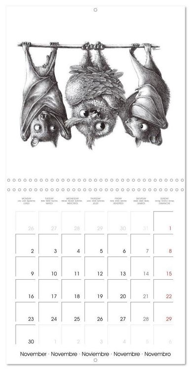 Produktbild: owls and mates 2026 (Wall Calendar 2026 12 &times; 12 Inch) CALVENDO 12 Month Wall Calendar