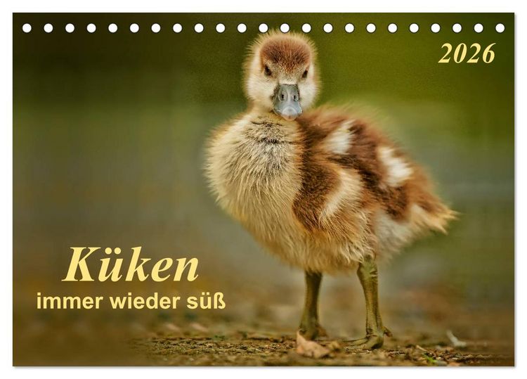 Produktbild: K&uuml;ken - immer wieder s&uuml;&szlig; (Tischkalender 2026 DIN A5 quer), CALVENDO Monatskalender