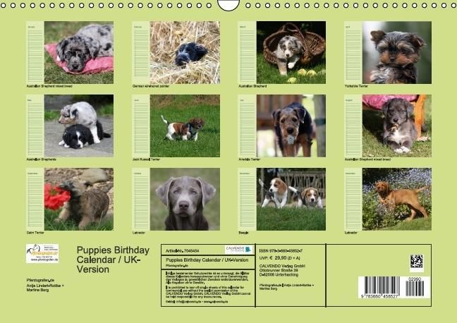 Produktbild: Puppies Birthday Calendar / UK-Version (Wall Calendar perpetual DIN A3 Landscape)