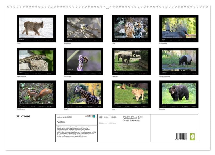 Produktbild: Wildtiere (Wandkalender 2026 DIN A2 quer), CALVENDO Monatskalender