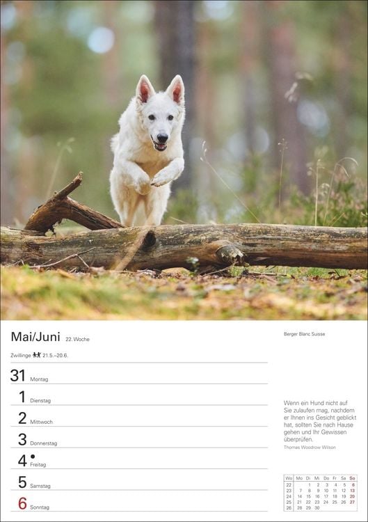 Produktbild: Hunde Wochenplaner 2027 - 53 faszinierende Fotografien