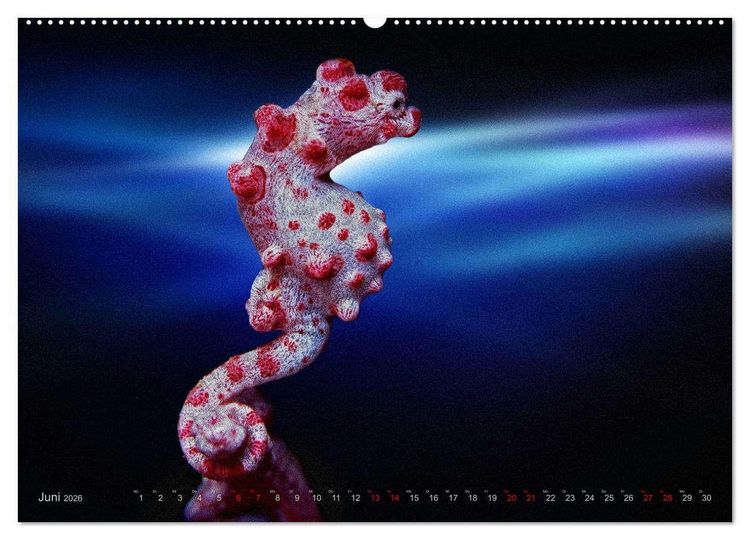 Produktbild: Artwork Unterwasser - Erlebnis Tauchen (hochwertiger Premium Wandkalender 2026 DIN A2 quer), Kunstdruck in Hochglanz