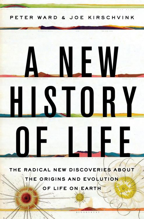 Produktbild: Ward, P: New History of Life