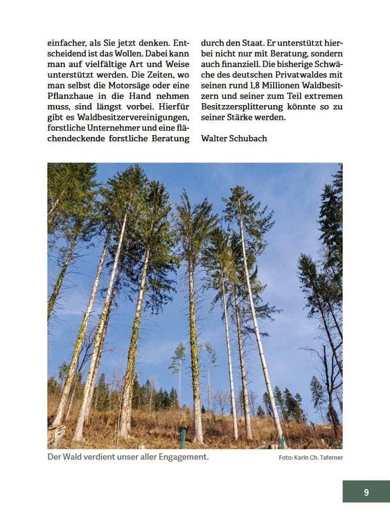 Produktbild: Wald im Wandel