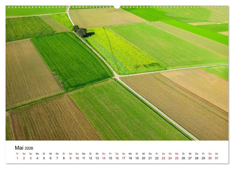 Produktbild: B&auml;ume - Wunder der Natur (hochwertiger Premium Wandkalender 2026 DIN A2 quer), Kunstdruck in Hochglanz