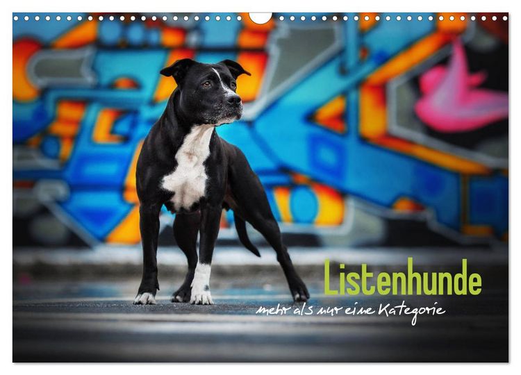 Produktbild: Listenhunde - mehr als nur eine Kategorie (Wandkalender 2026 DIN A3 quer), CALVENDO Monatskalender
