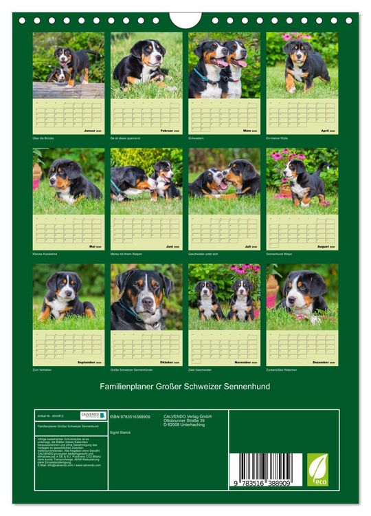 Produktbild: Familienplaner Gro&szlig;er Schweizer Sennenhund (Wandkalender 2026 DIN A4 hoch), CALVENDO Monatskalender