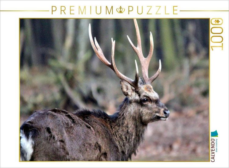Produktbild: CALVENDO Puzzle Der Sikahirsch - Der kleine Asiat in unseren W&auml;ldern | 1000 Teile Lege-Gr&ouml;&szlig;e 64x48cm Foto-Puzzle f&uuml;r gl&uuml;ckliche Stunden