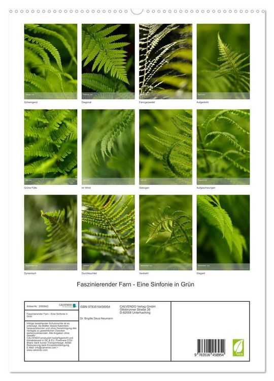 Produktbild: Faszinierender Farn - Eine Sinfonie in Gr&uuml;n (hochwertiger Premium Wandkalender 2026 DIN A2 hoch), Kunstdruck in Hochglanz