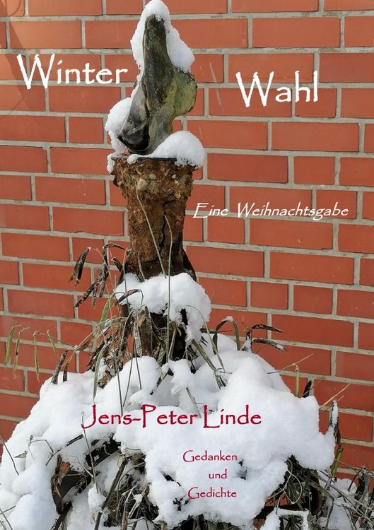 Produktbild: Winter Wahl