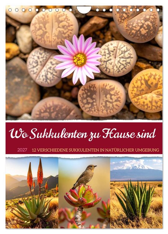 Produktbild: Wo Sukkulenten zu Hause sind (Wandkalender 2027 DIN A4 hoch), CALVENDO Monatskalender