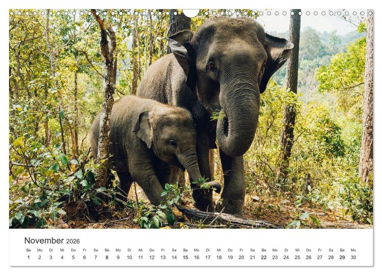 Produktbild: Thailand - Das Land des L&auml;chelns. (Wandkalender 2026 DIN A3 quer), CALVENDO Monatskalender