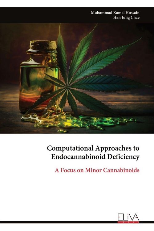 Produktbild: Computational Approaches to Endocannabinoid Deficiency