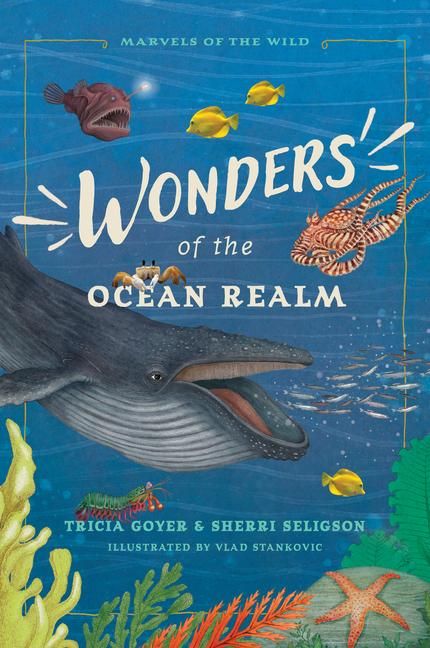 Produktbild: Wonders of the Ocean Realm