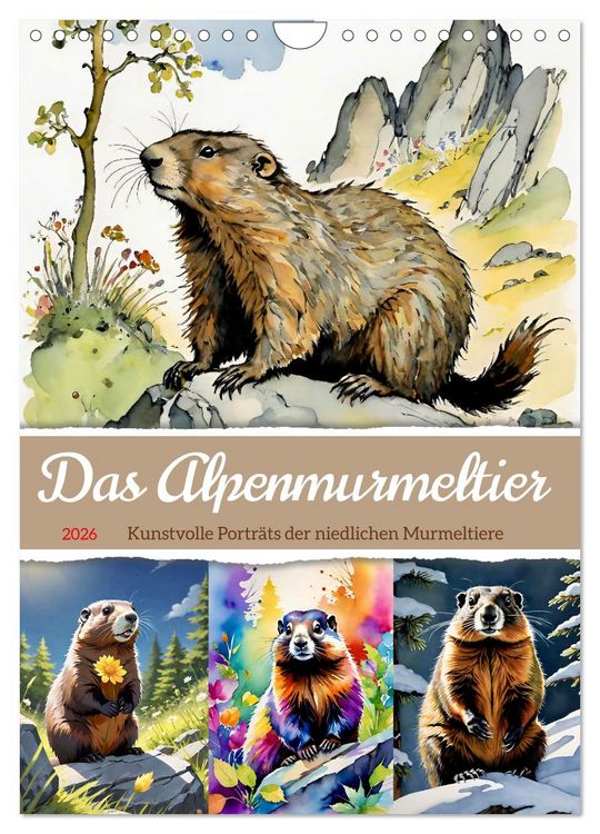Produktbild: Das Alpenmurmeltier (Wandkalender 2026 DIN A4 hoch), CALVENDO Monatskalender