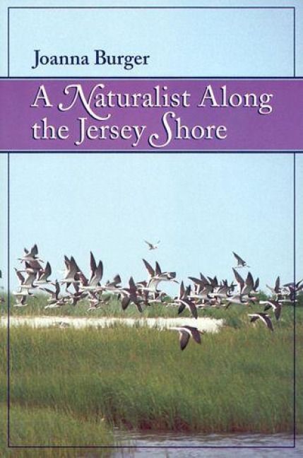 Produktbild: A Naturalist Along the Jersey Shore
