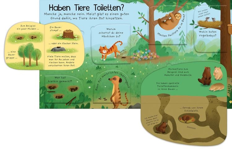 Produktbild: Erstes Aufklappen und Verstehen: Alle m&uuml;ssen mal, und dann?