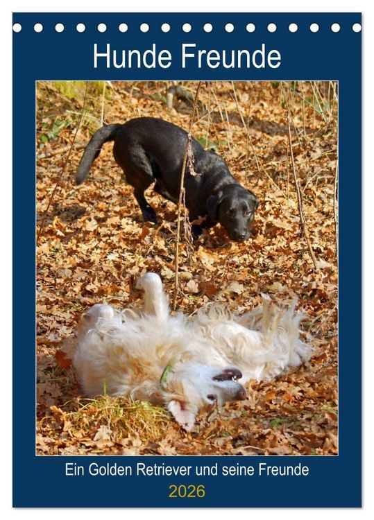 Produktbild: Hunde Freunde (Tischkalender 2026 DIN A5 hoch), CALVENDO Monatskalender