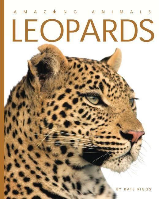 Produktbild: Leopards