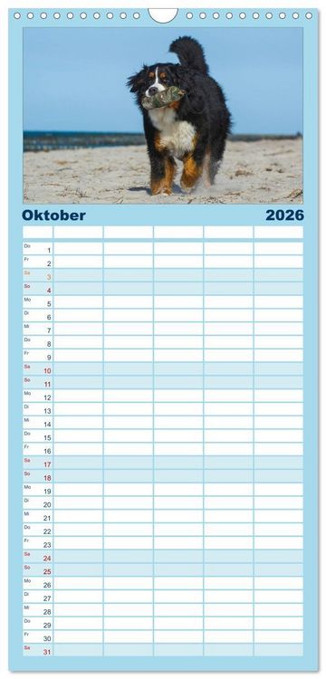 Produktbild: Familienplaner 2026 - Berner Sennenhund 2026 mit 5 Spalten (Wandkalender, 21 x 45 cm) CALVENDO