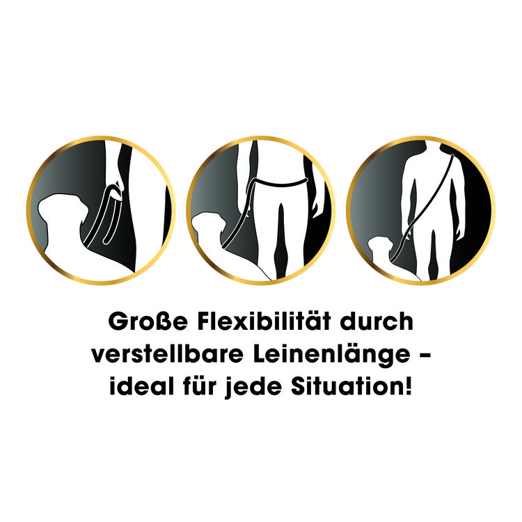 Produktbild: GoLeyGo Hundeleine & Halsband S schwarz