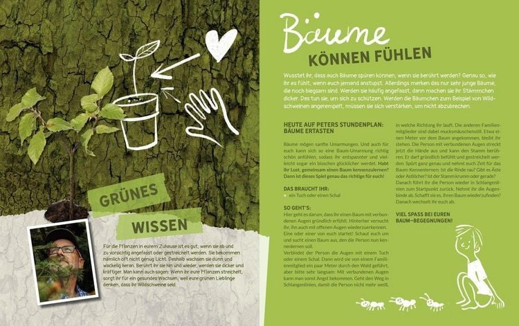 Produktbild: Peter Wohllebens Schule des Waldes