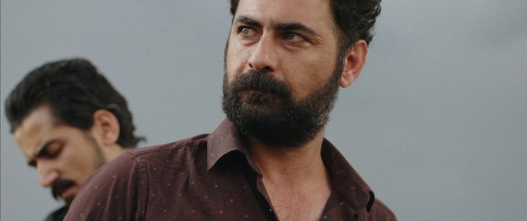 Produktbild: Haus ohne Dach