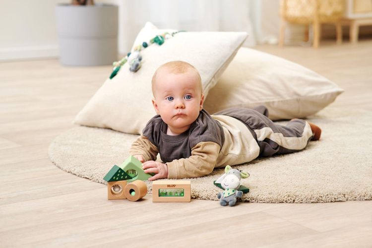 Produktbild: EH Baby HiPP Soundbausteine
