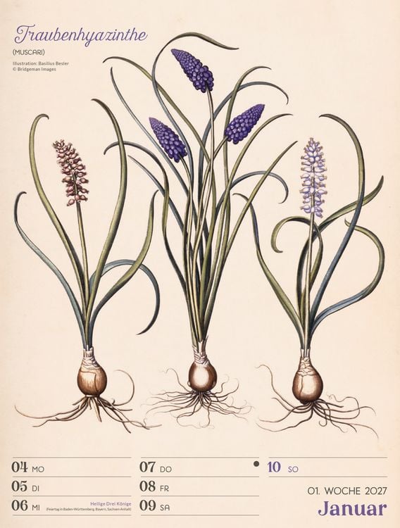 Produktbild: Ars Floralis Wochenplaner Kalender 2027