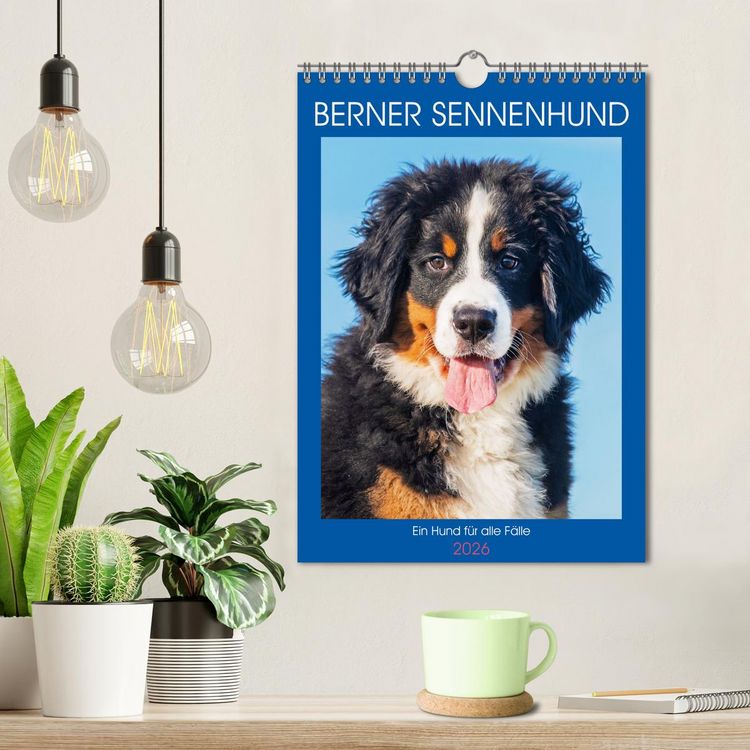 Produktbild: Berner Sennenhund - Ein Hund f&uuml;r alle F&auml;lle (Wandkalender 2026 DIN A4 hoch), CALVENDO Monatskalender