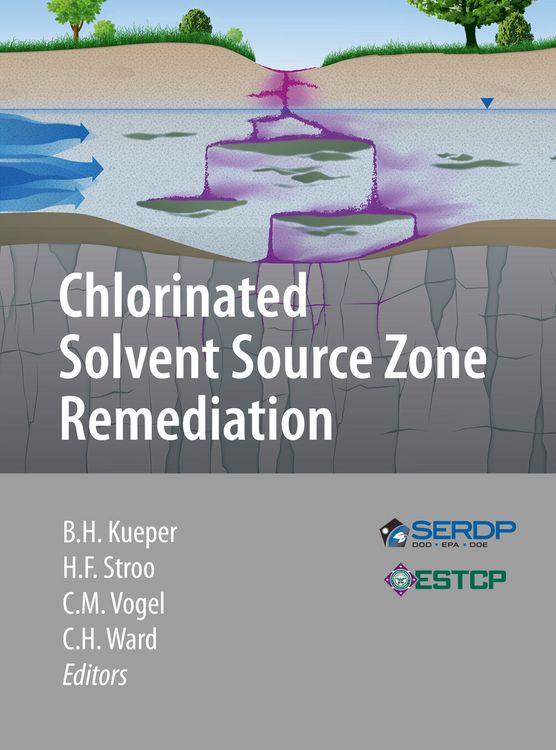 Produktbild: Chlorinated Solvent Source Zone Remediation