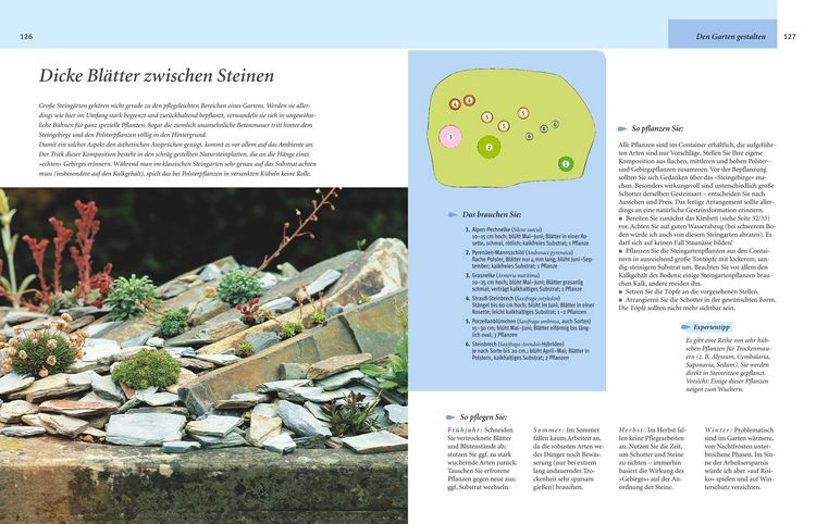 Produktbild: Pflegeleichter Garten